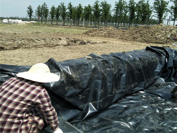 西双版纳养殖池土工膜供应商厂家图片第5张-盈旭土工材料