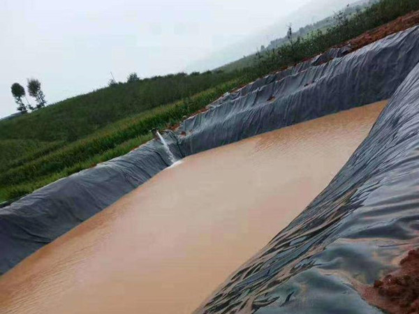 上海虾池用防渗土工膜,400克红色土工膜图片第7张-盈旭土工材料